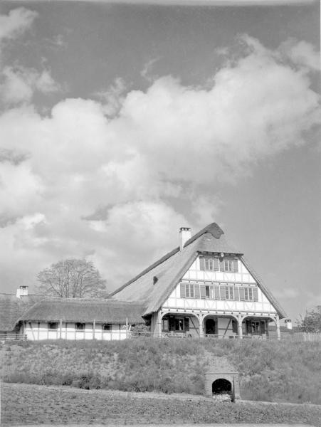 Historisches Bild der Gutenhalde