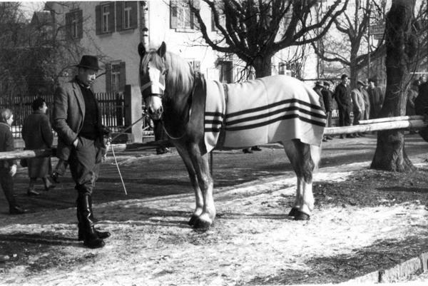 Mann mit seinem Pferd